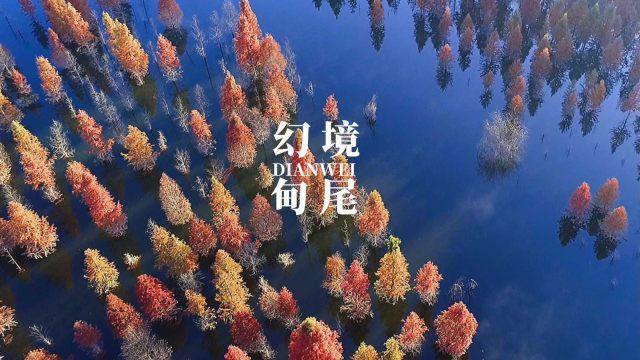 “请放心，普查员收集的数据不会对外公布”